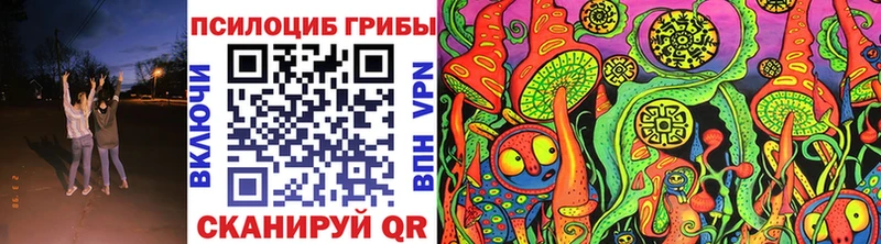 Псилоцибиновые грибы Psilocybine cubensis  сколько стоит  Гвардейск 